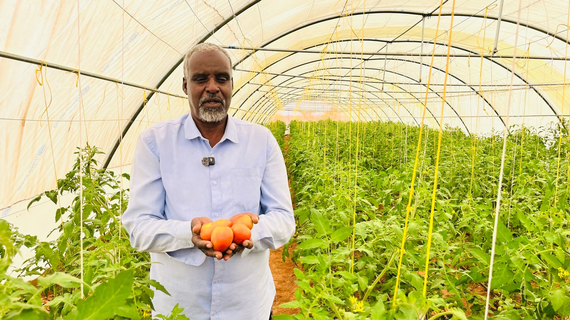Abqaal agricultural projects in the Horn of Africa
