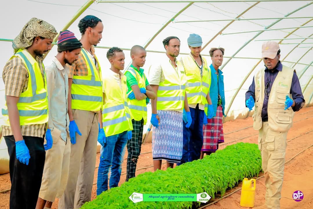 Training on Greenhouse Management